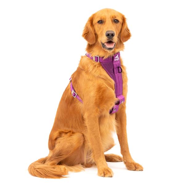Kurgo Enhanced Strenght Tru-Fit-Smart Harness (incl. Seat Belt Tether) Purple Gr. XL Kurgo Enhanced Strenght Tru-Fit-Smart Harness (incl. Seat Belt Tether) Purple Gr. XL